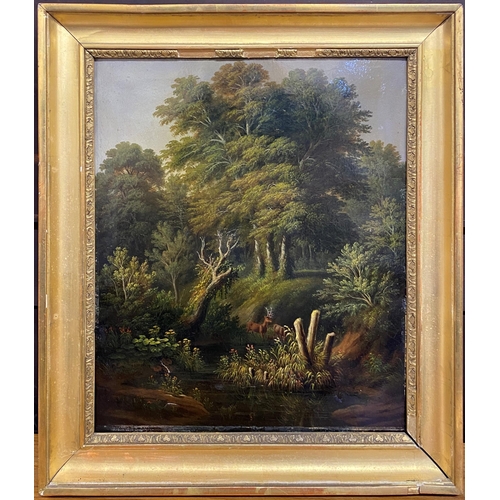 516 - Early 20th century German school - Deer in the forest, unsigned, oil on canvas, 41 x 34cm, framed