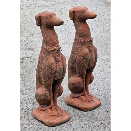 1008 - Pair of terracotta composite sitting greyhounds, 76cm high (2)