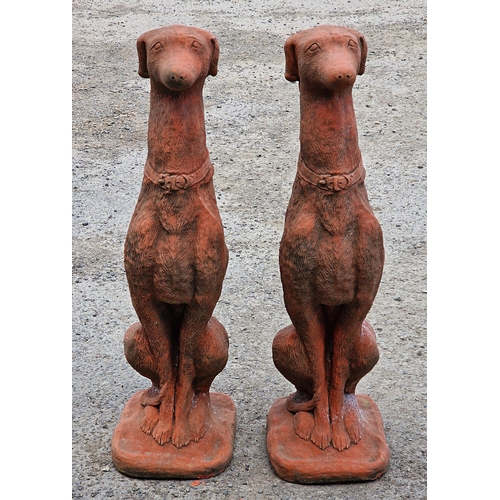 1008 - Pair of terracotta composite sitting greyhounds, 76cm high (2)