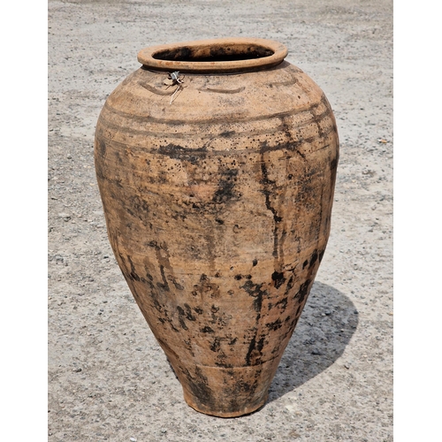 1016 - Antique terracotta amphora with incised band finish, 63cm high