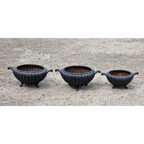 1019 - Good pair of twin handled fluted cast iron planters on three scrolled feet, 18cm high x 42cm wide, t... 