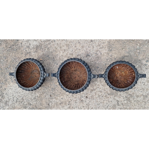 1019 - Good pair of twin handled fluted cast iron planters on three scrolled feet, 18cm high x 42cm wide, t... 