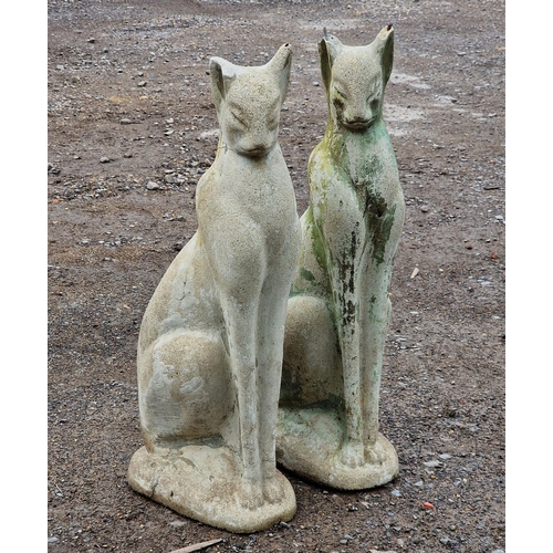 1051 - A pair of reconstituted stone Siamese cats, H 62cm