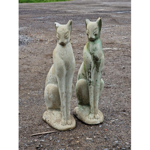 1051 - A pair of reconstituted stone Siamese cats, H 62cm