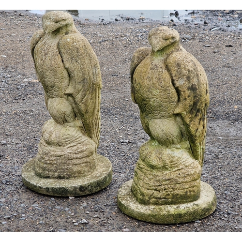 1054 - Pair of weathered reconstituted stone garden statues in the form of eagles, H 45cm