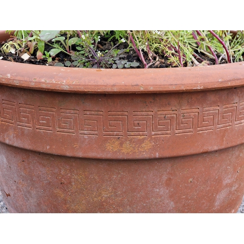 1060 - A large terracotta planter with Greek key detail, H 40cm x W 50cm (planted)