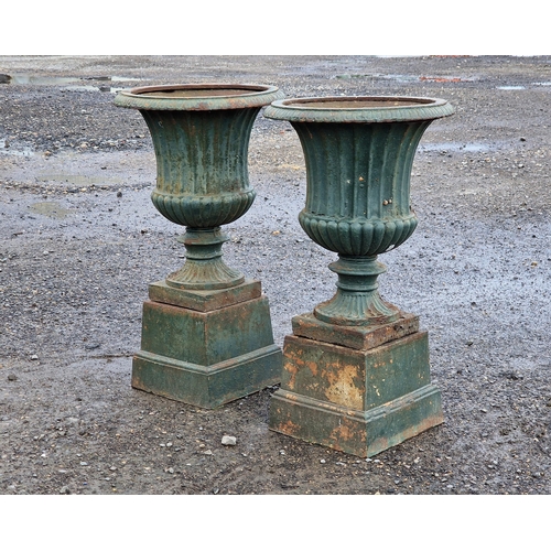 1080 - A good quality pair of painted cast iron Campana urns with egg and dart rims and lobed bowls raised ... 