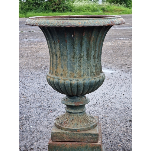 1080 - A good quality pair of painted cast iron Campana urns with egg and dart rims and lobed bowls raised ... 