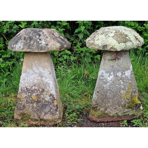 1113 - A matched pair of good quality weathered natural stone staddle stones, largest H 81cm x W 34cm (2)