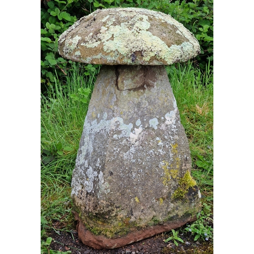 1113 - A matched pair of good quality weathered natural stone staddle stones, largest H 81cm x W 34cm (2)