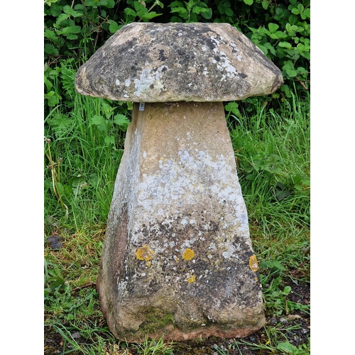 1113 - A matched pair of good quality weathered natural stone staddle stones, largest H 81cm x W 34cm (2)