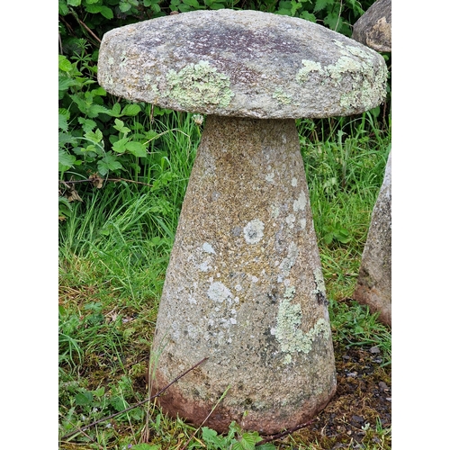 1115 - Weathered Cornish granite staddle stone, H 70cm x W 50cm