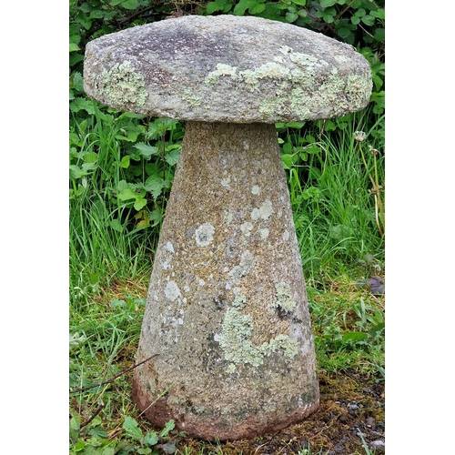 1115 - Weathered Cornish granite staddle stone, H 70cm x W 50cm