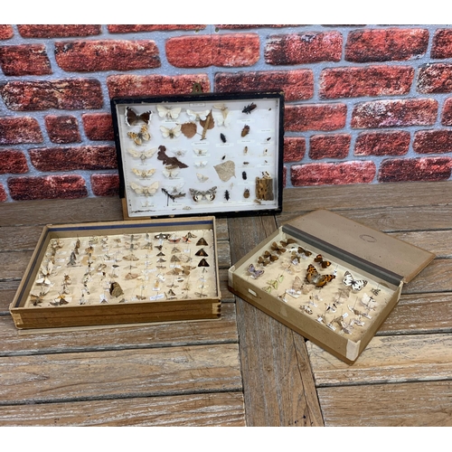 472 - Taxidermy - collection of boxed and cased insect specimens to include moth and butterfly examples (3... 