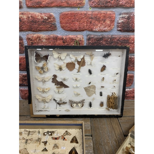 472 - Taxidermy - collection of boxed and cased insect specimens to include moth and butterfly examples (3... 