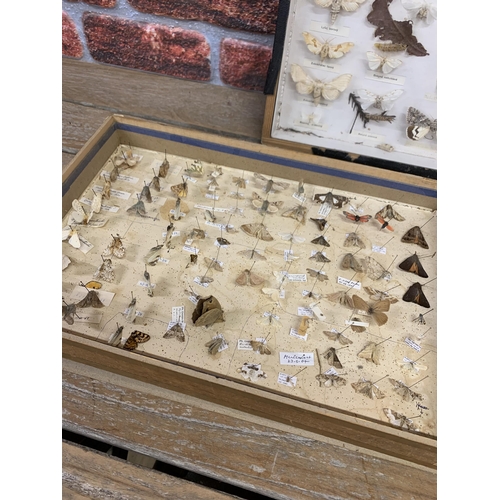 472 - Taxidermy - collection of boxed and cased insect specimens to include moth and butterfly examples (3... 