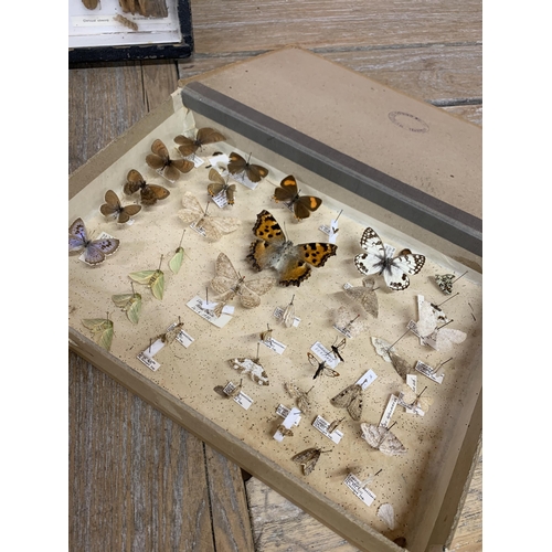 472 - Taxidermy - collection of boxed and cased insect specimens to include moth and butterfly examples (3... 