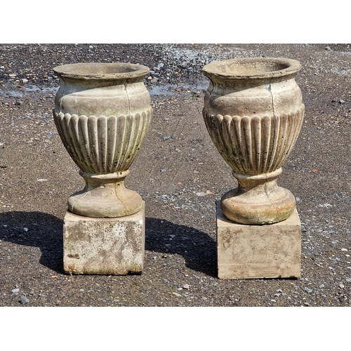 1064 - A pair of reconstituted stone urns with lobed bowls raised on square cut plinths, H 55cm x W 25cm