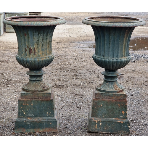 1080 - A good quality pair of painted cast iron Campana urns with egg and dart rims and lobed bowls raised ... 