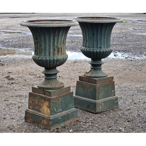 1080 - A good quality pair of painted cast iron Campana urns with egg and dart rims and lobed bowls raised ... 