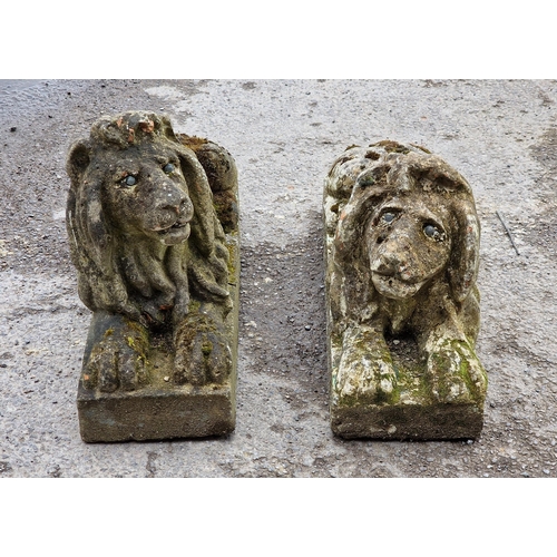 1097 - Matched pair of weathered reconstituted stone recumbent lions, H 42cm x W 20cm x D 70cm (2)