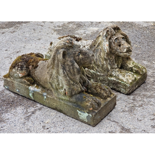 1097 - Matched pair of weathered reconstituted stone recumbent lions, H 42cm x W 20cm x D 70cm (2)