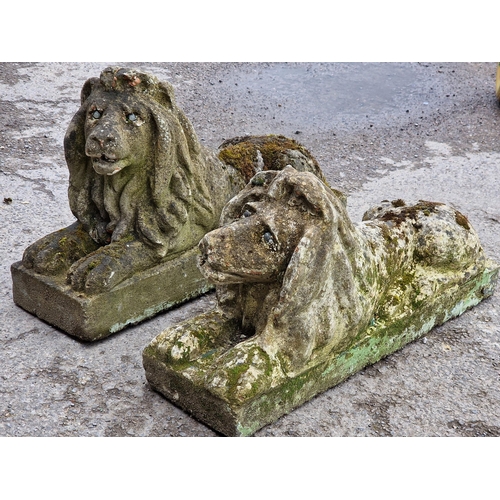 1097 - Matched pair of weathered reconstituted stone recumbent lions, H 42cm x W 20cm x D 70cm (2)