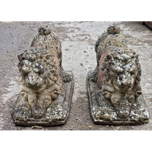 1098 - Pair of weathered reconstituted stone recumbent lions, H 34cm x W 28cm x D 54cm