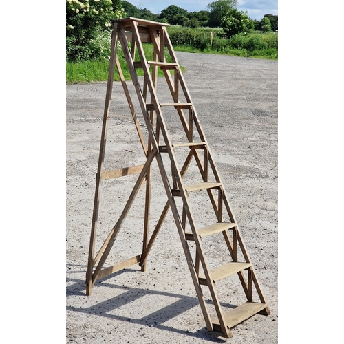 1161 - Vintage folding French Architects ladder, H 160cm