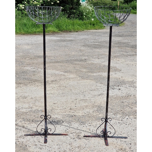 1179 - Pair of painted metal floor standing plant stands with wirework baskets and scrolled detail, H 135cm... 