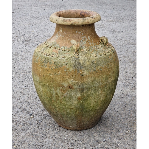 1238 - Glazed terracotta amphora urn with raised ring and studded detail, H 52cm