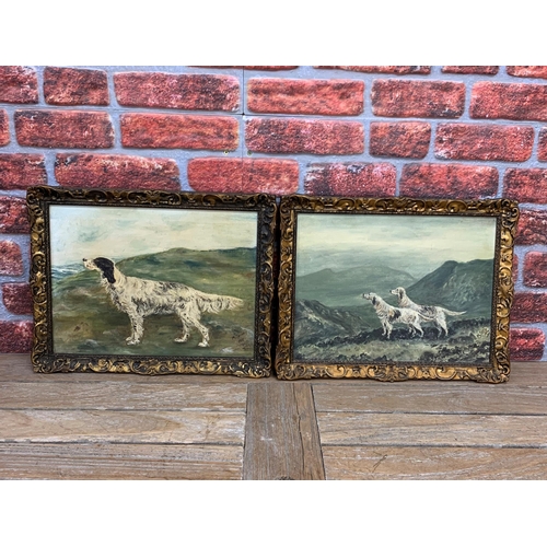 583 - Vintage pair of oil on canvas paintings of Irish Setters, framed in matching ornate gold frames H37c... 