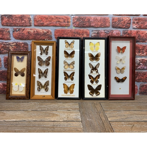 417 - Taxidermy - collection of assorted cased butterflies, to include Common Indian Crow, The Lime Butter... 