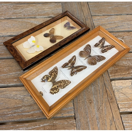 417 - Taxidermy - collection of assorted cased butterflies, to include Common Indian Crow, The Lime Butter... 