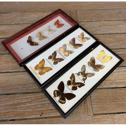 417 - Taxidermy - collection of assorted cased butterflies, to include Common Indian Crow, The Lime Butter... 