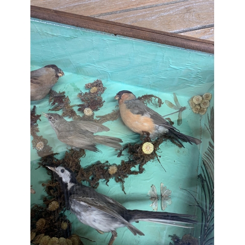 447 - Taxidermy - British small bird diorama in glaze case set amongst naturalistic surround, to include p... 