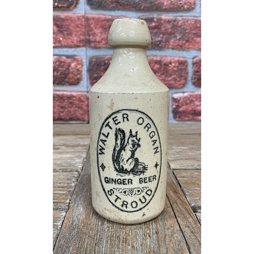 2491 - Stroud ginger beer bottle, 'Walter Organ', central squirrel motif, late 1800's, rare and sought afte... 