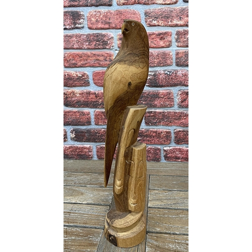 2188 - Hand carved statue of an Parrot, the bird was carved in Teak in Fiji, H56cm