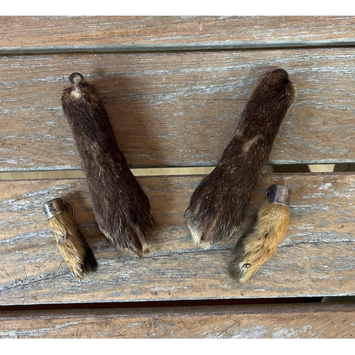 440 - Taxidermy - assortment of otter related pieces to include tails, paws and paw brooches (6)