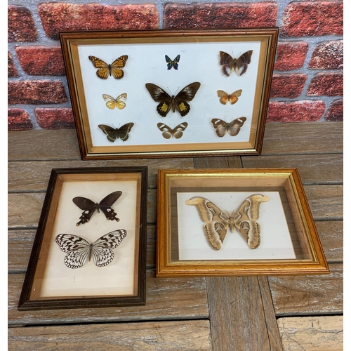 416 - Taxidermy - collection of assorted cased butterflies, largest 45cm x 30cm (3)