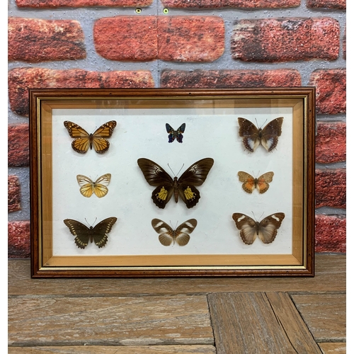 416 - Taxidermy - collection of assorted cased butterflies, largest 45cm x 30cm (3)