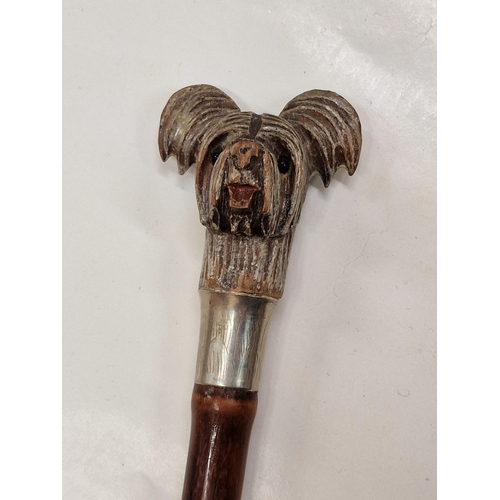 355 - Vintage hand carved Yorkshire Terrier sword stick with silver plated collar, the collar being marked... 