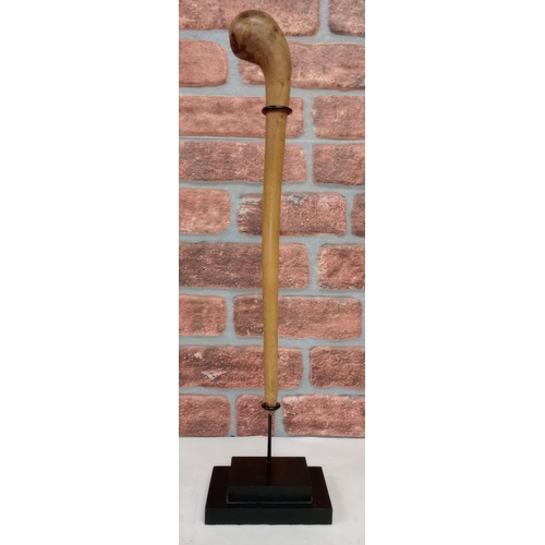 2135 - Vintage African Knobkerrie War club, displayed on heavy black Metal stand, H70cm