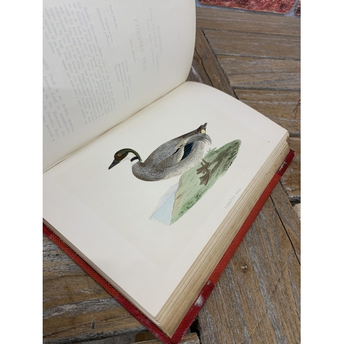 2529 - Bree's Birds Of Europe, four volume hard back book set, published by Groombridge and sons 1863, to i... 