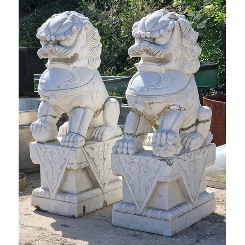 1250 - Exceptional pair of marble Foo Dog statues, H 111cm (2) (AF)