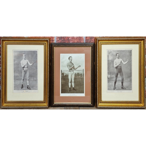 3732 - Boxing - collection of early framed boxing prints to include champion of Ireland Peter Maher, champi... 