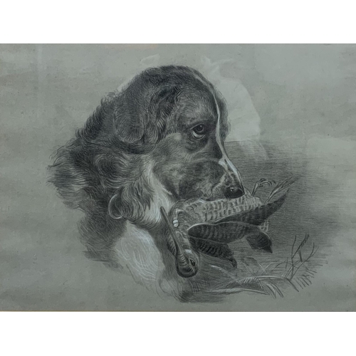 383 - Possibly by Edwin Landseer (1802-1873) - St Bernard with woodcock, unsigned, graphite study, 34 x 47... 