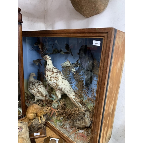 446 - Taxidermy - impressive British birds diorama in glazed case set amongst naturalistic surround, to in... 