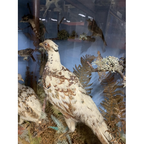 446 - Taxidermy - impressive British birds diorama in glazed case set amongst naturalistic surround, to in... 