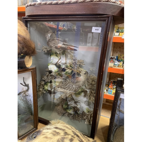 449 - Taxidermy - Redshank and Godwit birds in glazed case set amongst naturalistic background, by Ashmead... 